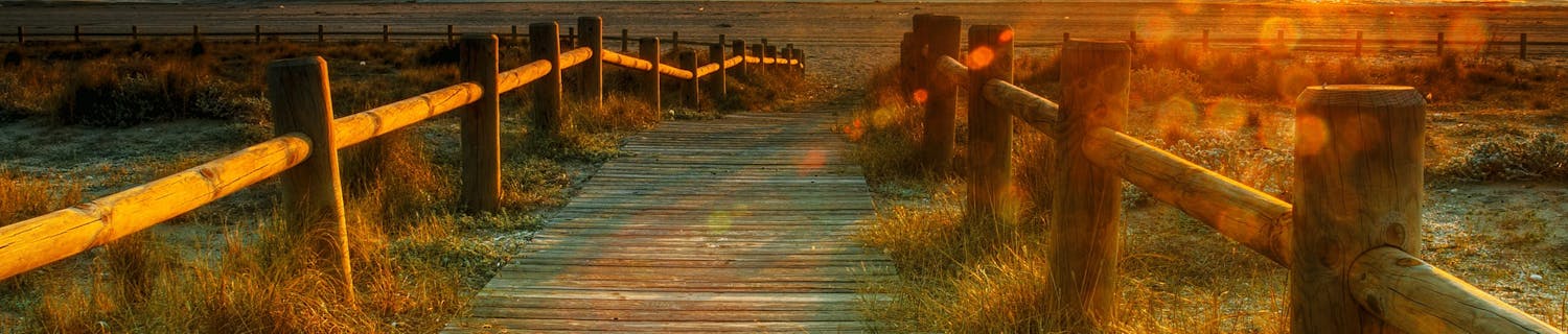 Solnedgång vid vattnet